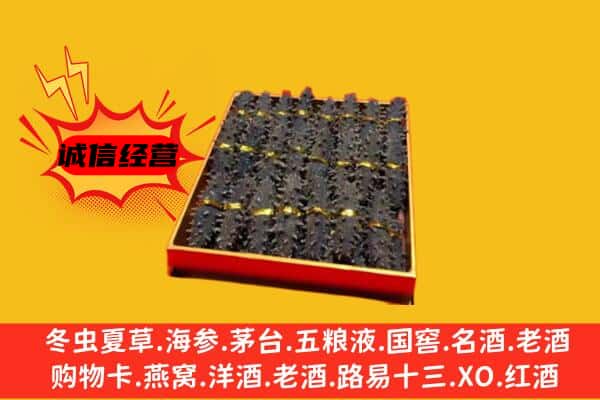 临武县回收海参